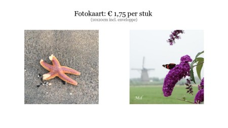 Alle foto's zijn door mij gemaakt.